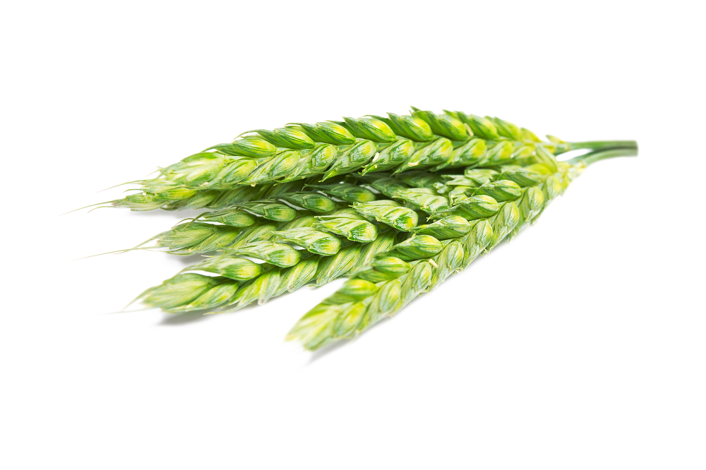 פריקי גרוסה דק להכנת מרק פריקי